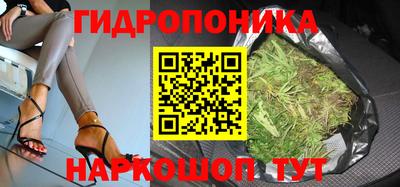 spice Заводоуковск