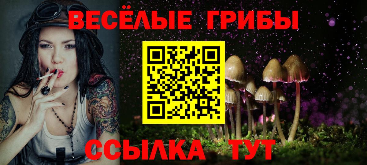 Междуреченск  Галлюциногенные грибы Magic Shrooms  что такое наркотик  Вход с VPN  Галлюциногенные грибы ЛСД 