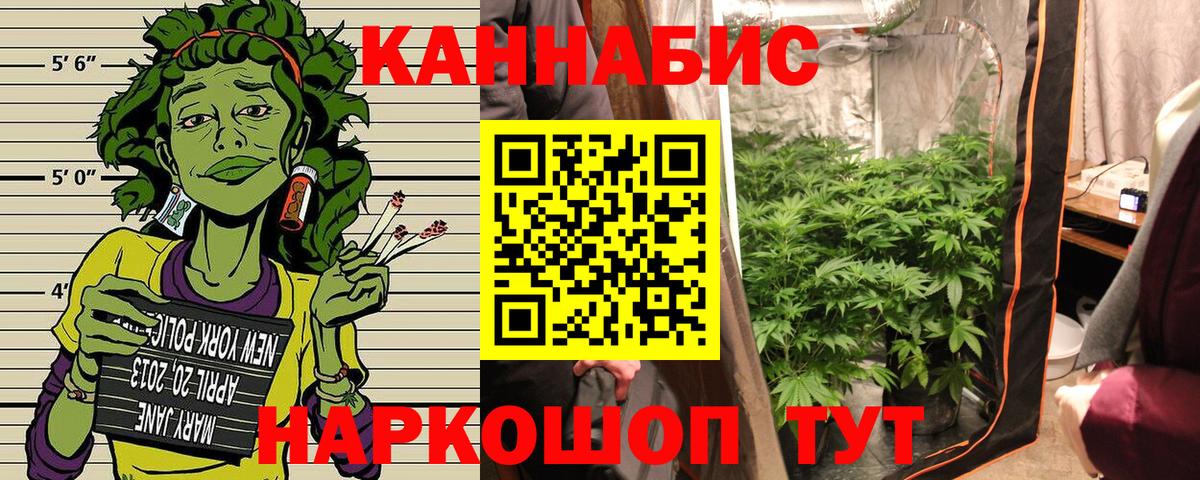 Бошки Шишки Amnesia Междуреченск